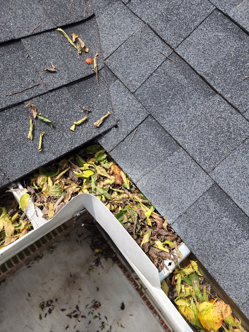 All Pro Services -Residential Gutters